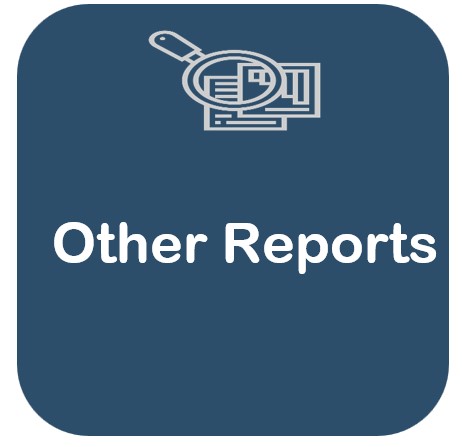 Other Reports